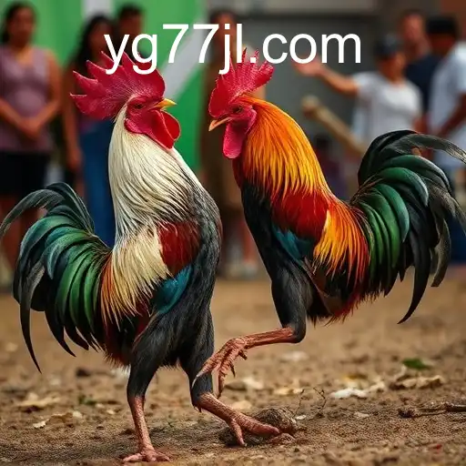 Exploring the Rich Tradition of Sabong Games with yg77